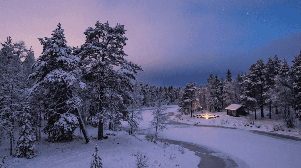 A snow-covered forest at dusk during the longest night.